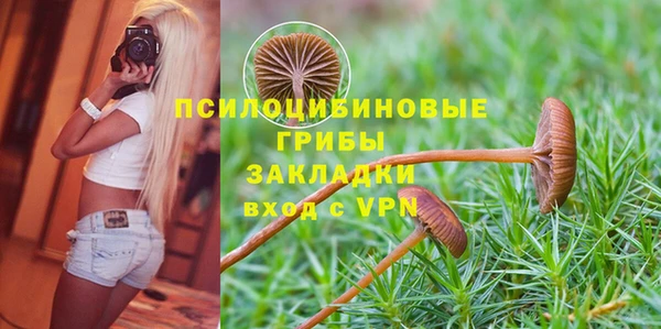 ПСИЛОЦИБИНОВЫЕ ГРИБЫ Алексин