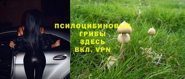 ПСИЛОЦИБИНОВЫЕ ГРИБЫ Алексин