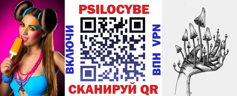 Псилоцибиновые грибы мицелий  Камбарка 